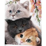 Varvikas Dijamantski mozaik Tri mace (LG299e Three kittens) | ePonuda.com