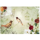  Tapeta - Vintage birds 100x70 | shoptok.hr