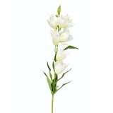  Cvet LILLY 1183181/2 - White - EDL Cene