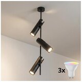 Brilagi LED RGBW prigušiva luster na šipci BRANCH 3xGU10/6,5W/230V crna Cene