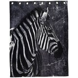 Olimp Sport Zavesa Zebra 140x175 cm | ePonuda.com