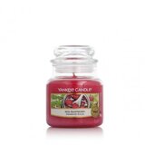 Yankee Candle Red Raspberry 104 g Cijene