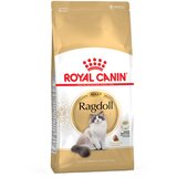 Royal Canin Ragdoll Adult - Varčno pakiranje: 2 x 10 kg | shoptok.hr