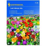 KIEPENKERL Mešana cvetlična semena Last minute (2 m² - 3 m²) | Shoptok.si
