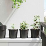 Lonac za cvijeće 200 pcs Crna Ø 15 x 12.5 cm Plastika | shoptok.hr