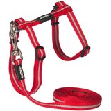 Rogz alleyCat Am i povodac za mace, 11mm, Crveni Cene