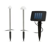 Garden of Eden led solarna svetilka - 12 mini gob - toplo bela - 24 cm x 4 m | Shoptok.si