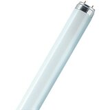 Osram Fluorescentna žarulja (T8, Neutralno bijelo, 18 W, Duljina: 60 cm) | shoptok.hr
