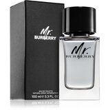 Burberry Mr. toaletna voda za moške 100 ml | Shoptok.si
