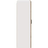  Zidni stakleni ormarić Umjetnički hrast 80 x 31 x 100 cm | shoptok.hr