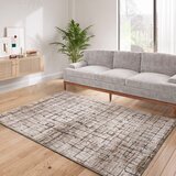 Universal Sivo-bež preproga 160x235 cm Ceres – | Shoptok.si