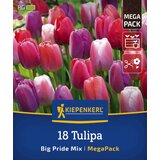 KIEPENKERL Mega pakiranje Darwin hibridnih tulipanov "Big Pride Mix" - 18 k. Cene