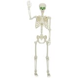 Halloween Skelet Bijelo 155 x 38.5 cm Plastika | shoptok.hr