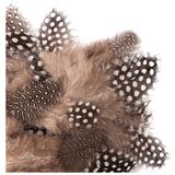  Prirodno perje od prepelice 5 - 12 cm / 5 g Cene