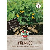  Arašid "Jimmy's Pride" - 1 pkt. u