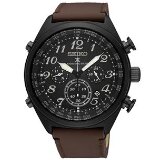 Seiko muški ručni sat SSG015P1 | ePonuda.com