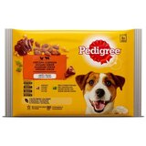 Pedigree Kesice za pse Piletina i jagnjetina 4 x 100 g | ePonuda.com