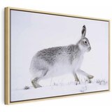  Slika - Hare (1 Part) Wide 120x80 U prirodnom drvenom okviru | shoptok.hr
