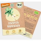 BIO redkvice “Ledene sveče” | Shoptok.si