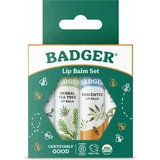 Badger Balm Lipstick Set - moder