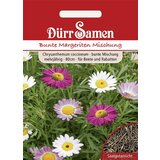 Dürr Samen Barvite marjetice | Shoptok.si