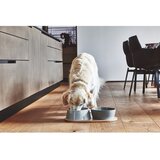 MiaCara Porculanske zdjele za hranu za ljubimce u setu 2 kom ø 21 cm Doppio Concrete M/L – | shoptok.hr