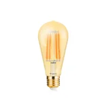 LED sijalica 6W-E27-ST64-2200K AMB