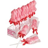 Spencer & Fleetwood Succulent Willie Lollipop 35g Display 24 pcs | shoptok.hr