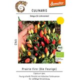 Culinaris Bio čili Prairie Fire | Shoptok.si