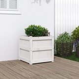  Vrtna sadilica bijela 50 x 50 x 50 cm od masivne borovine | shoptok.hr