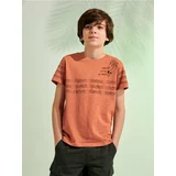 Sinsay majica kratkih rukava s printom za dječake 0833F-84X