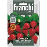 FRANCHI SEMENTI Jagode "Quattro Stagioni" | Shoptok.si