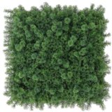 TGC Zeleni zid mahovina zelena 50x50cm Cene