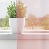 Voile zavjese s ušicama 2 kom svijetlo ružičaste 140x225 cm | Shoptok.si