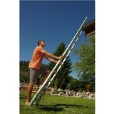 Fieldmann FZZ 4005 Teleskopske merdevine 3.8m | ePonuda.com