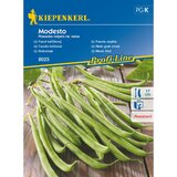 KIEPENKERL Nizek fižol Modesto Kiepenkerl (Phaseolus vulgaris var. nanus) Cene