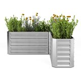 Blumfeldt High Grow L-oblik srebrna | shoptok.hr