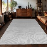 Ayyildiz Carpets Svetlo siva preproga 160x230 cm Sahara – | Shoptok.si
