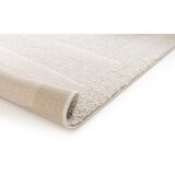 Universal Bež preproga 120x170 cm Caledonia – | Shoptok.si