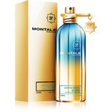Montale Intense So Iris parfumska voda 100 ml unisex | Shoptok.si
