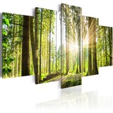  Slika - Forest Kingdom 200x100 Cijene