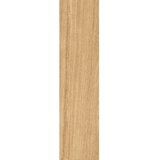 RAGNO escape miele 12,5x50 | ePonuda.com