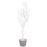 Modern Living Okrasna Vejica Sam Ii | Shoptok.si