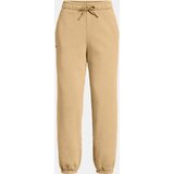 Under Armour Women's pants UA Icon HWT Flc OS Pant-BRN - Women's | shoptok.hr