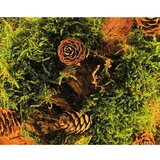  Li-Go 23654 - LED prigušiva stona dekoracija LED/12W/230V 20x22 cm mahovina | Eponuda.com