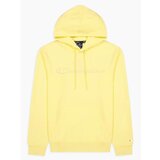 Champion Hooded Sweatshirt