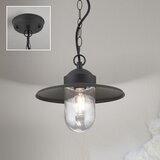 Orion AL 11-1318 - Spoljašnja viseća svetiljka EDWARD 1xE27/60W/230V IP44 antracit | Eponuda.com
