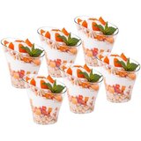 Orion Skodelice za sladice, prigrizke 180 ml 6 kosov., (5000009901) | Shoptok.si