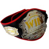  Boxing set, bag, gloves, belt | Shoptok.si