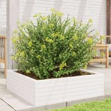  Vrtna sadilica bijela 80 x 80 x 23 cm od masivne borovine | shoptok.hr